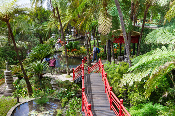 Fototapete - Monte Palace Tropical Garden. Red bridges in oriental garden. Funchal, Madeira Island, Portugal