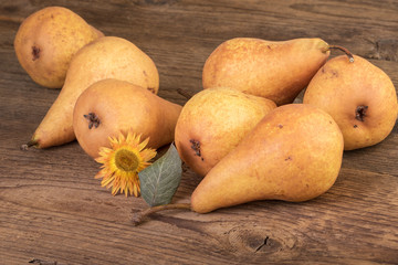 Sticker - ripe pears fruit over wooden background