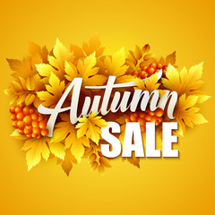 Wall Mural - Autumn typographic. Fall leaf. Vector illustration 