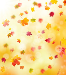 autumn background