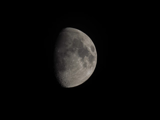 Wall Mural - gibbous moon