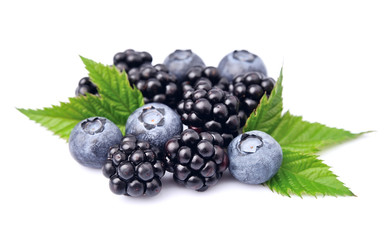 Poster - Blueberries and blackberry