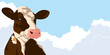 Cow with a flower on a background of blue sky
