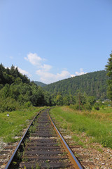 landscape Forest Railway.....