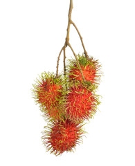 Rambutans fruit with leaf on white background.