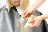 Fototapeta  - Zagęszczanie włosów.Fryzjer przedłuża włosy dopinając pasma włosów