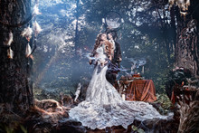 Woman Model Bride In A Mystical Forest.