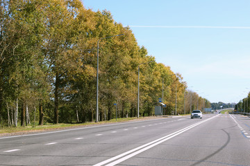 Poster - road route marking trees