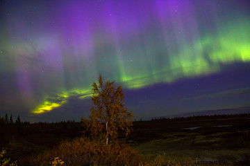 northern lights (aurora borealis)