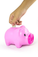 Coin into piggy pink pig on white background