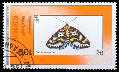 Wall Mural - MONGOLIA - CIRCA 1990: a stamp printed in the Mongolia, shows Butterflie, series, circa 1990