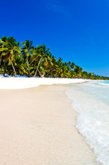 Wall Mural -  beach and tropical sea