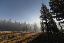 With Sun Beams Passing Through The Fog At Mountain Forest