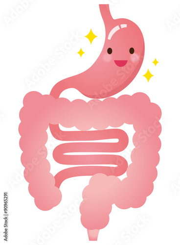 胃腸 消化器 Stock イラスト Adobe Stock