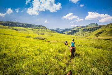 On the Road to Drakensberg