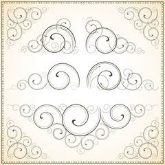 Canvas Print - ornate vector scrolls
