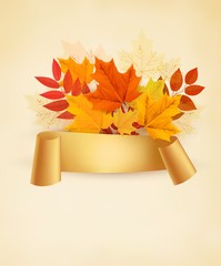 Poster - Autumn banner background with colorful leaves. Vector.