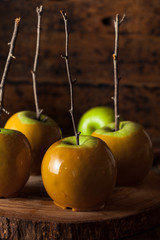 Canvas Print - Homemade Green Caramel Apples