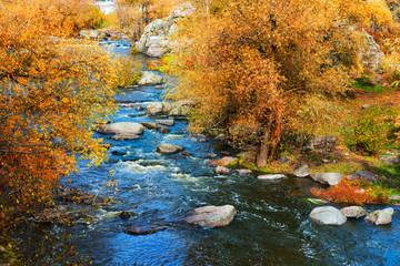 Wall Mural - Rough river at autumn