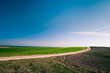 © Ruslan Ivantsov - Green Field