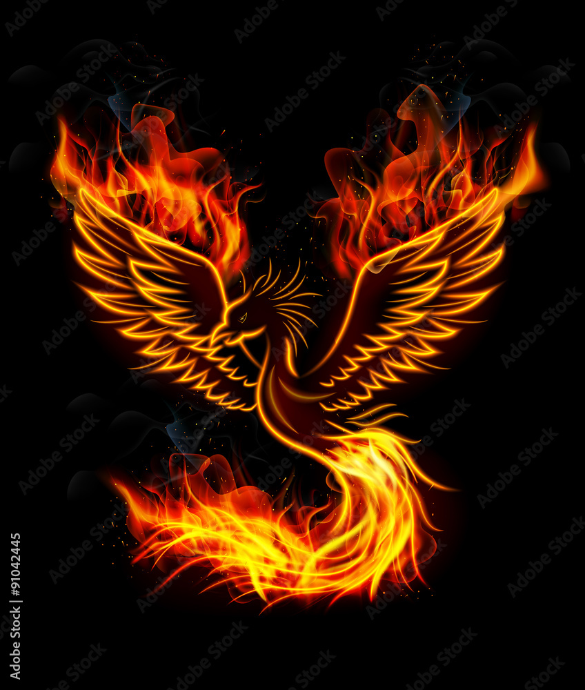 Fire burning Phoenix Bird with black background - obrazy, fototapety, plakaty 