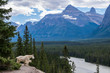 Mountain goats look out over the Athabasca River at the Kerkesli