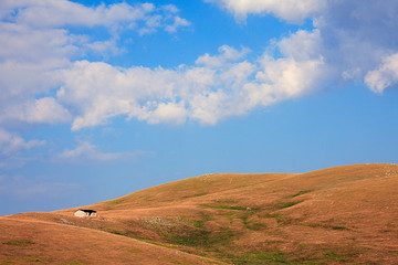 Wall Mural - Campo imperatore, casetta nel verde