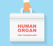 Human organ for transplant bag. Transplantation conceptual illustration.
