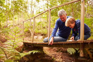 Grandfather playing with grandson on a bridge in a forest