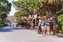 Row Of Horse With Carriages In Mdina, Old Capital Of Malta. Attraction For Tourists.