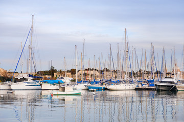 Wall Mural - early winter morning at marsamxett harbour. many sailing yachts.