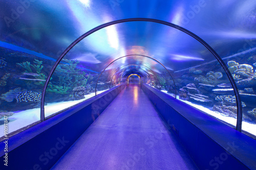  Fototapeta akwarium   podwodny-tunel