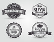 Happy Thanksgiving Vector Badges and Labels