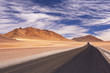 Desert road through the Altiplano, Chile, altitude 4700m