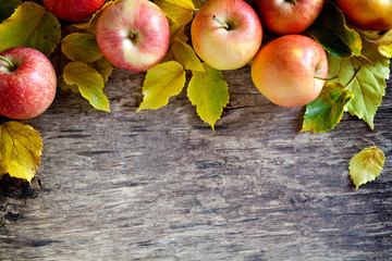 Wall Mural - Fallen Apples Backdrop