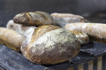 bread in bakery