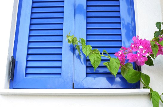 Wall Mural -  - Window with blue shutters on white wall and purple flowers