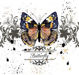 Fototapete - Vector illustration with detailed butterfly in vintage style