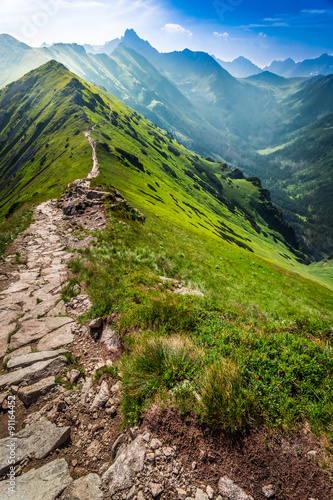 Fototapeta na wymiar Footpath in the mountains in Poland