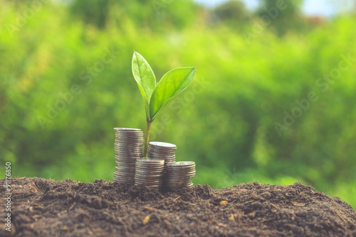 Fotografía plant growing out of coins with filter effect retro vintage style