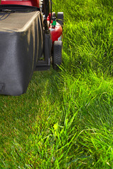 Wall Mural - Lawn mower cutting green grass.