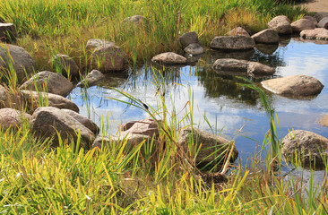 Wall Mural - Finnish landscape with rocks and trees