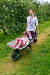 Poster - enfant cueillant des pommes