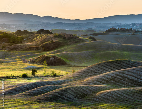 Fototapeta na wymiar curved and wavy landscape of Tuscan fields.