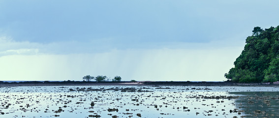 Canvas Print - Sea Low Tide 