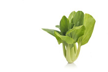 Fresh Green Leafy Bok Choy Vegetable Isolated In White.