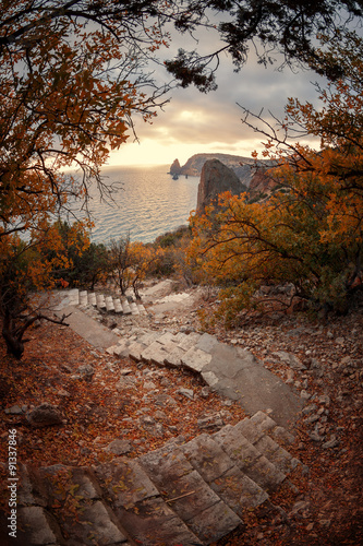 Fototapeta na wymiar Stairway to the sea among the autumn trees