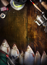 Art Sports Fishing Report Background