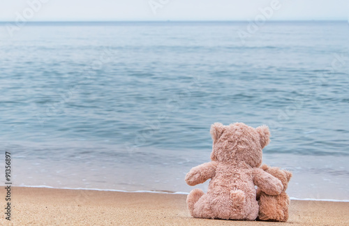 Fotografie, Obraz Teddy bears sitting on the beautiful beach with love. Concept ab