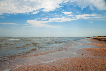 Canvas Print - sea